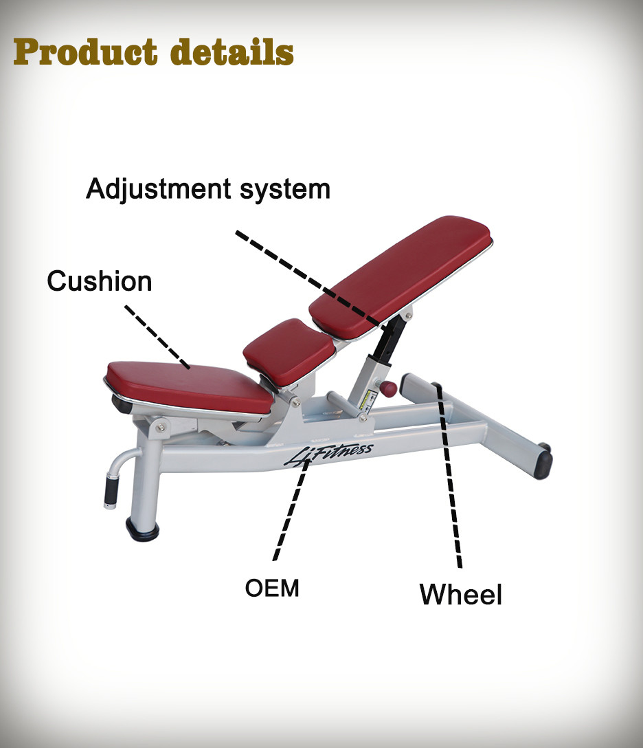Gym / Home Use Multi Adjustable Bench For Weight Lifting Machine