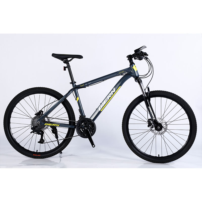Mountain Bikes with Steel Rim and Cassette For Disc Brake