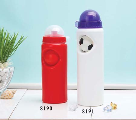 700ml insulated water bottle