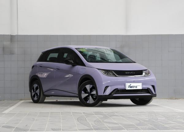 Luxury Chinese Comfortable Sport New Energy Automatic Battery BYD EV Car Whale