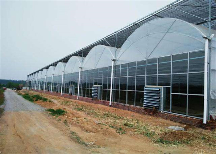 Scientific Research Agricultural Glass Greenhouse High Light Transmitting Rate