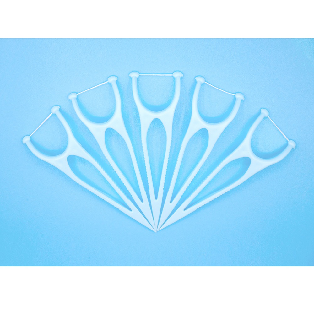 Factory Price Oral Care Eco Friendly Advanced Clean Toothpick Dental Flosser Pick For Home Travel Hotel Use
