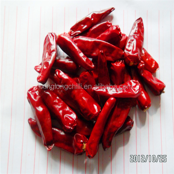 Red small round hot pepper