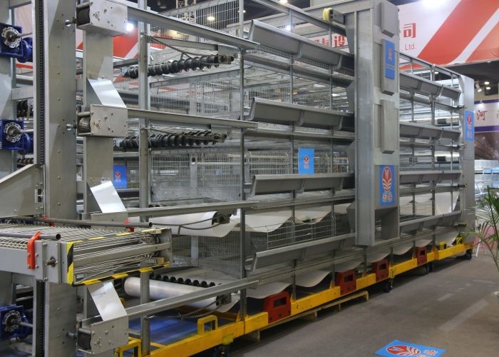 Convenience Poultry Farm Water System Automatic Chicken Drinkers And Feeders