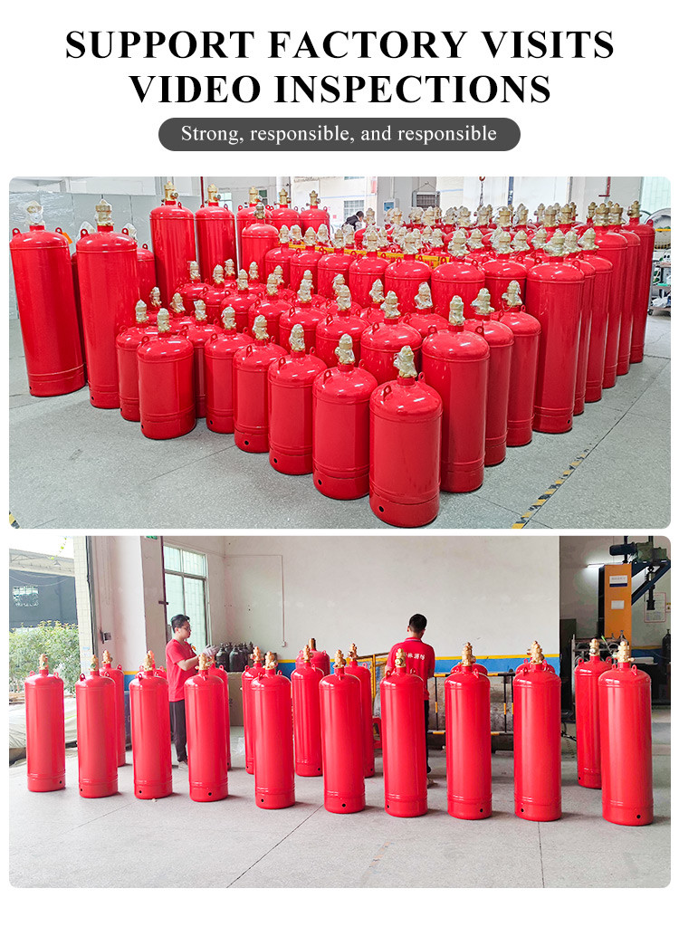 CE Cylinder FM200/Novec1230/IG541/IG100 Gas Fire Extinguisher 4kg 6kg 8kg 10kg 20kg 30kg