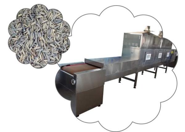 Frequency Stainless Steel Black Soldier Fly Larvae Microwave Sterilization