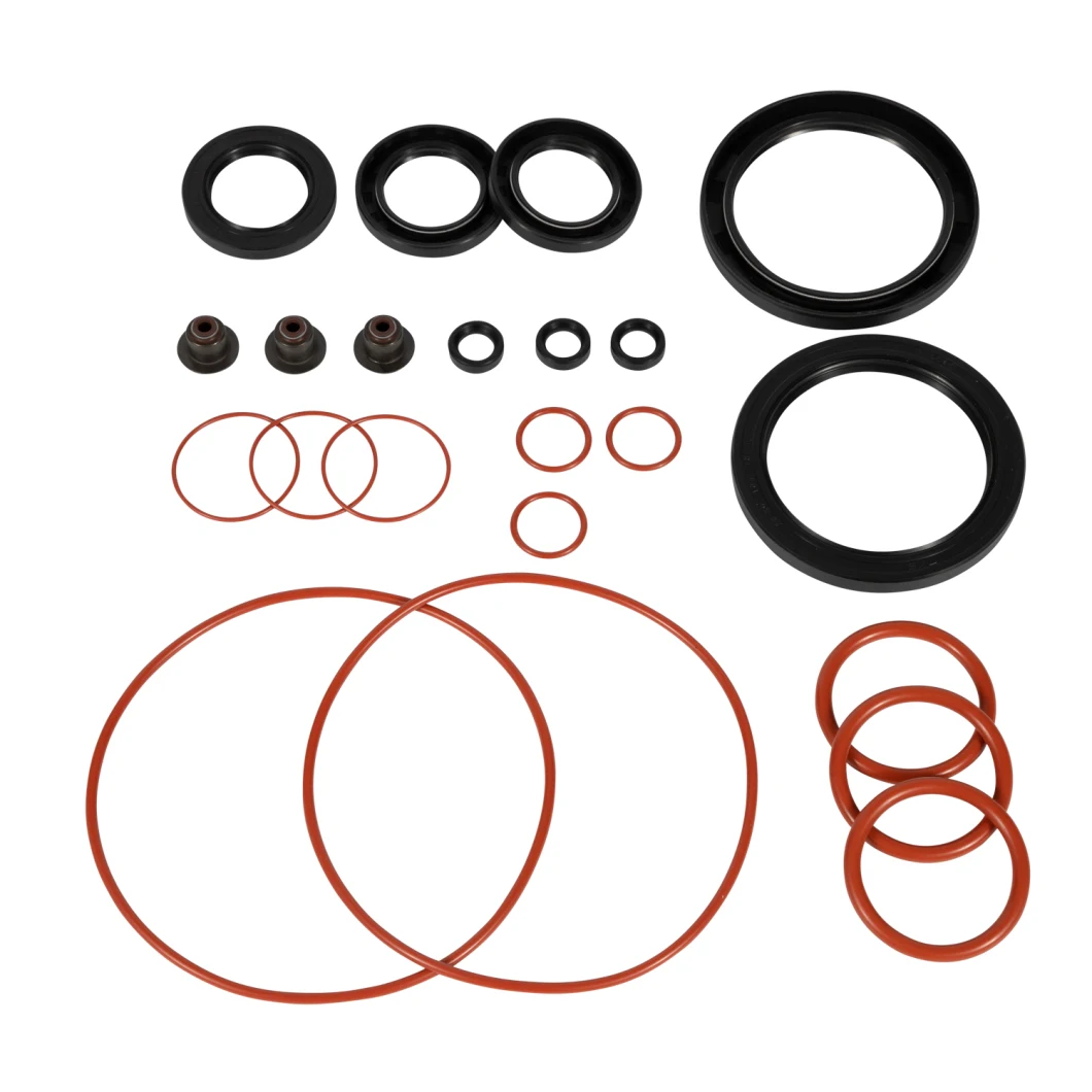 Hydraulic Mechanical Pump Valve Variseal PTFE Carbon Praphite Peek Double Lip Piston Rod Rotary Oil Spring Energized Seal