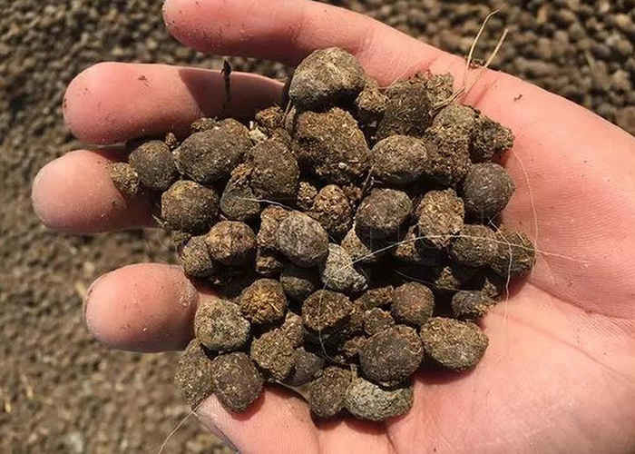 Organic Fertilizer Production Poultry Manure Compost Tanks Fermentation Equipment