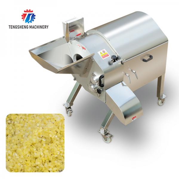 Quality 1000KG/H Professional fruit and vegetable dicing machine large yield lotus root dicing machine radish dicing machine for sale