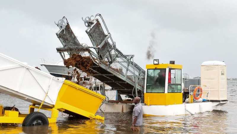 Aquatic reed harvester New Design machine testing of equipment for rives and lakes