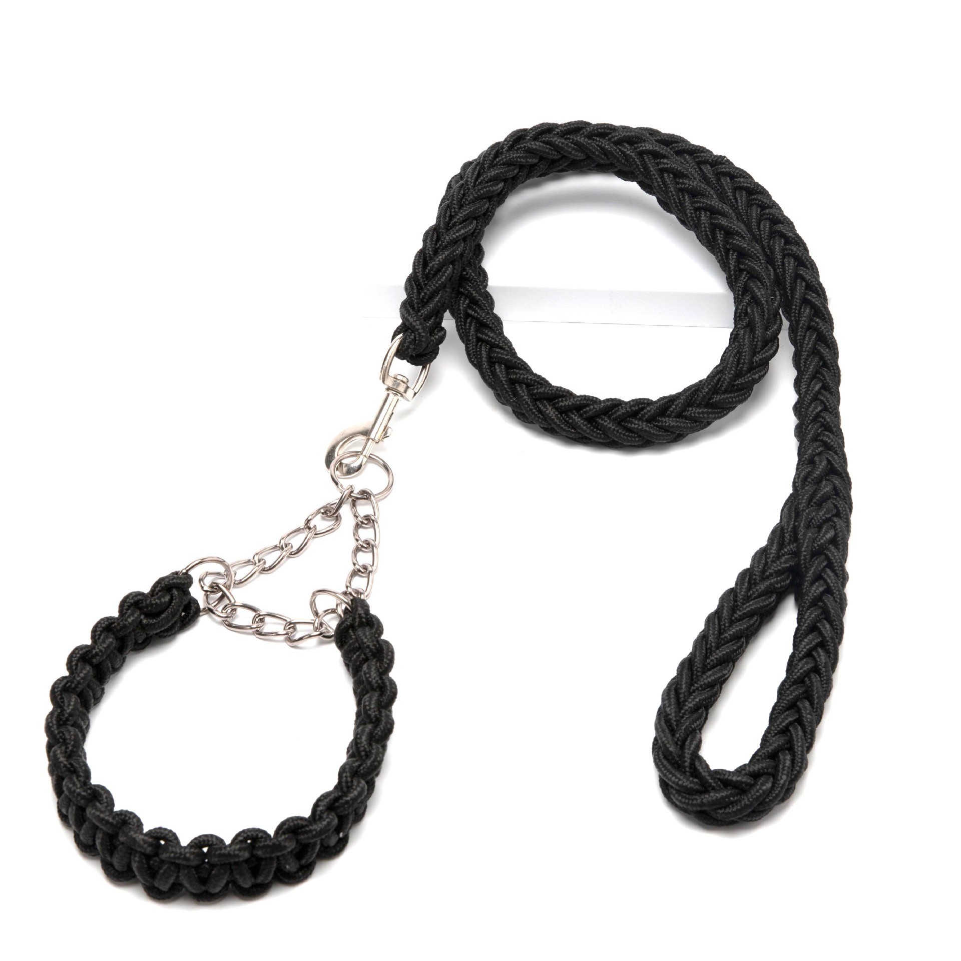 black cat with collar