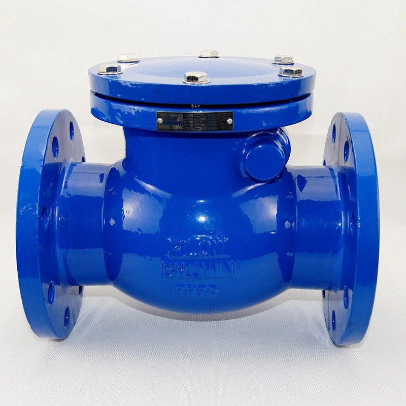 DN300 PN16 ANSI150 DIN PN16 WCB DI SS Stainless Steel Swing Type Check Valve