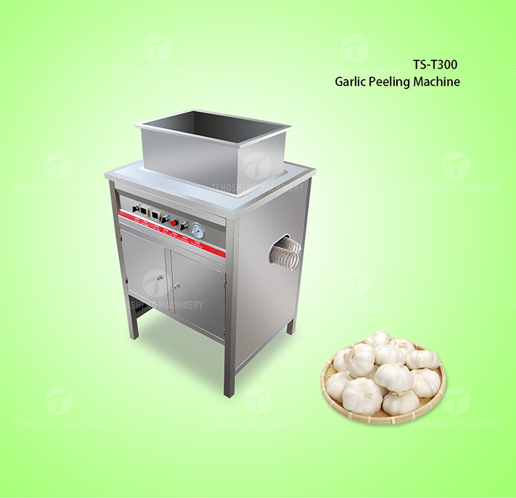 OEM Electric Garlic Processing Machine Skin Removing Equipment
