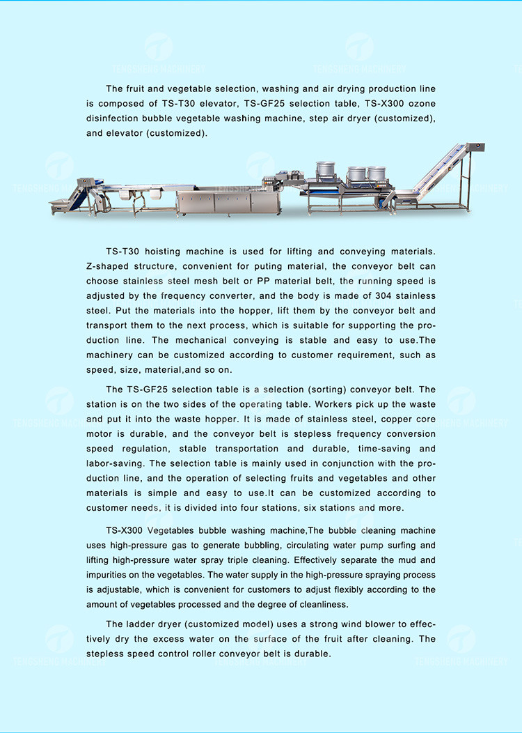 1500KG/H Orange Selection Fruit And Vegetable Processing Line