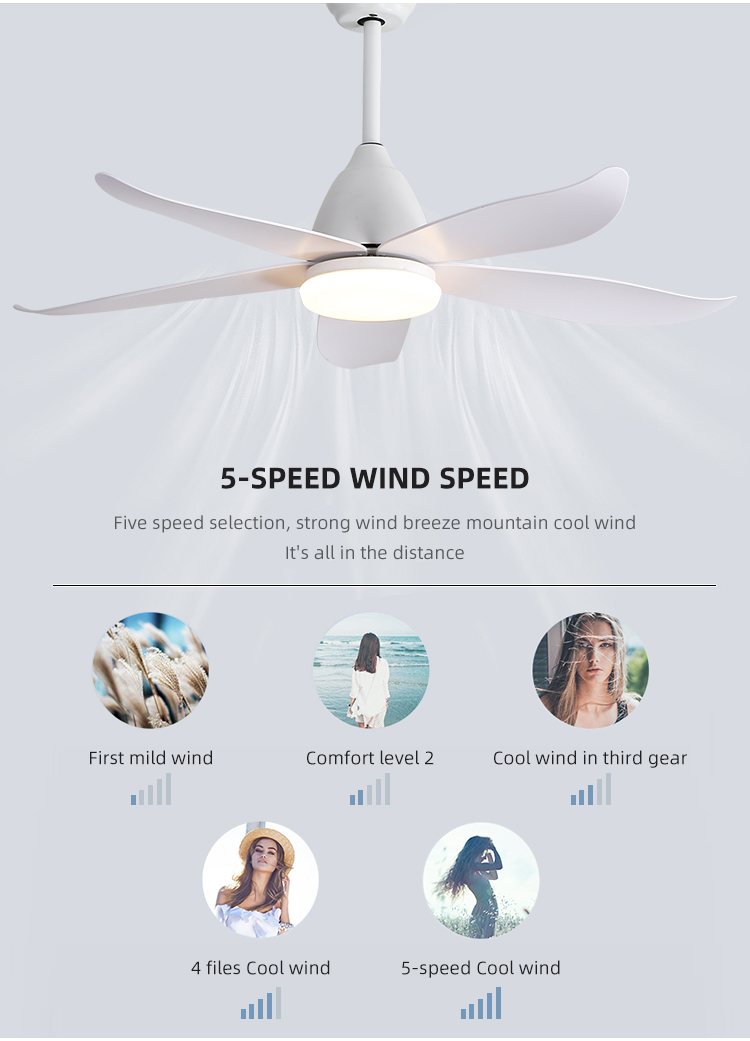 2000LM 47 Inch ABS Blade Ceiling Fan
