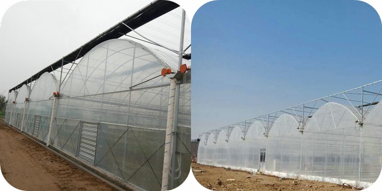 Large Transparent Plastic Film Multi-Span Greenhouse Grow Tent Transparent and Durable