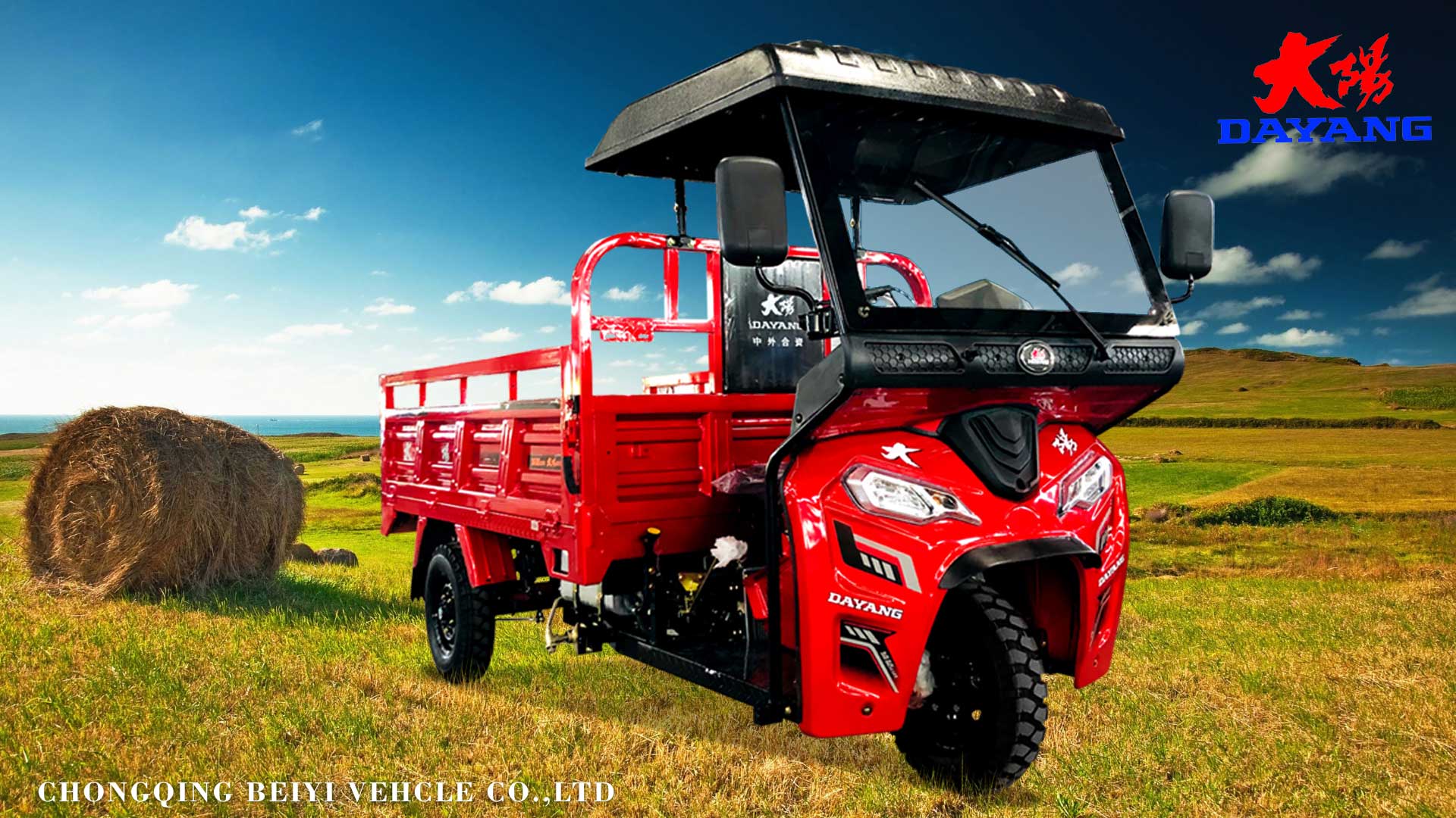 250cc Motorized Adults Popular Three Wheel Motorcycle with Rear Spring Leafs 5 2
