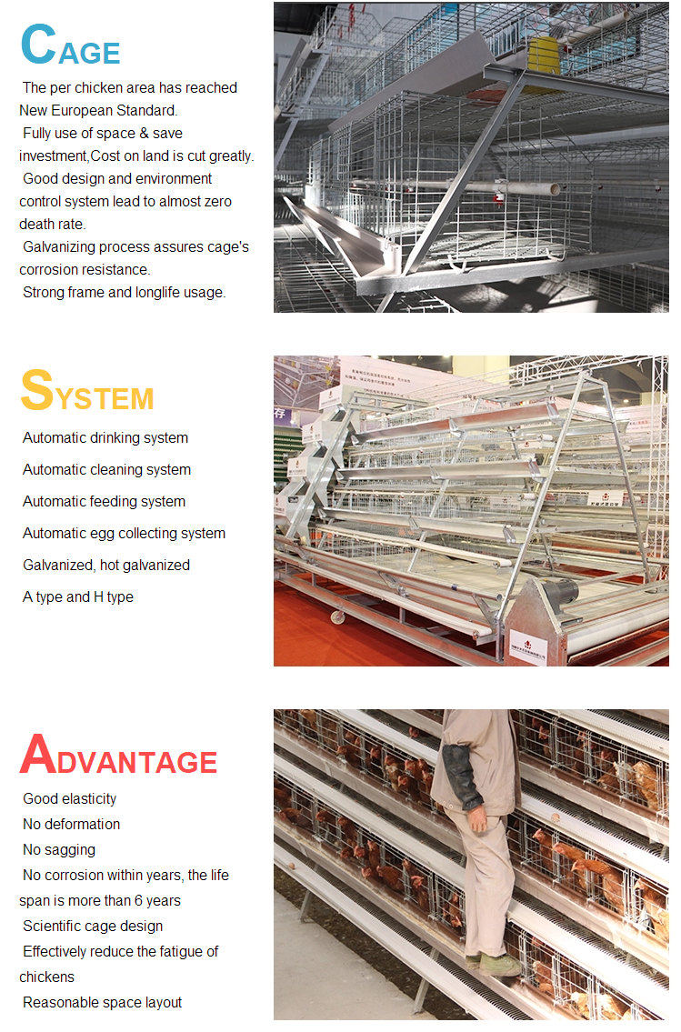 layer chicken cage (1).png