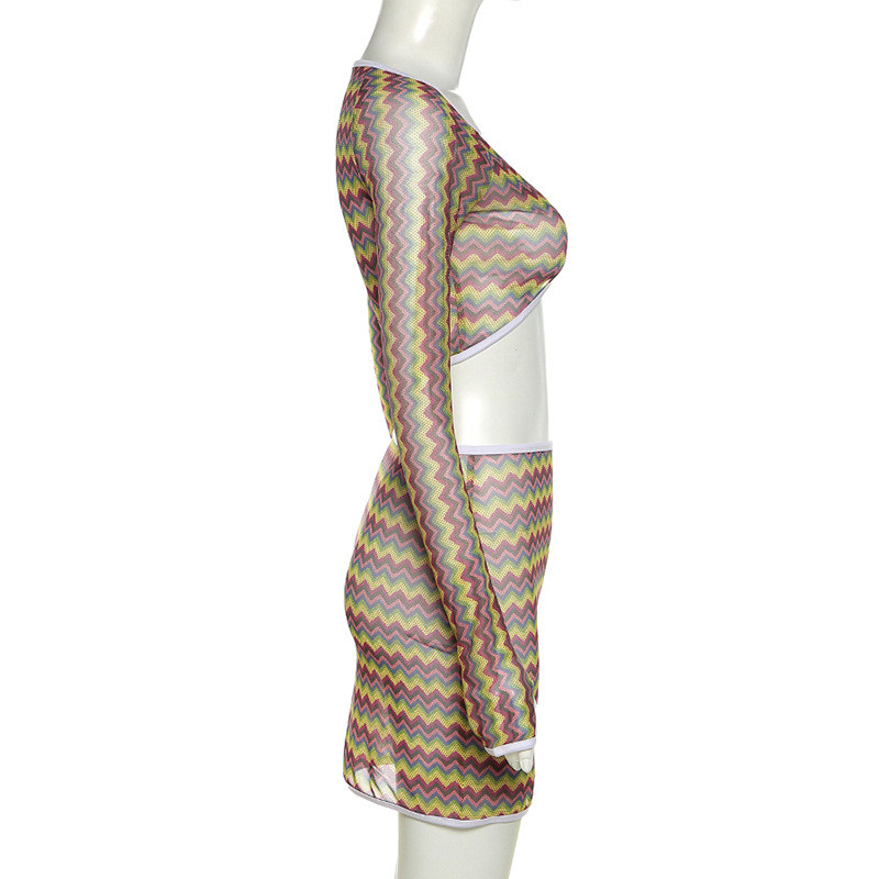 Polyester Two Piece Casual Set See Through Mesh Printed T Shirt High Waist Bag Hip Skirt