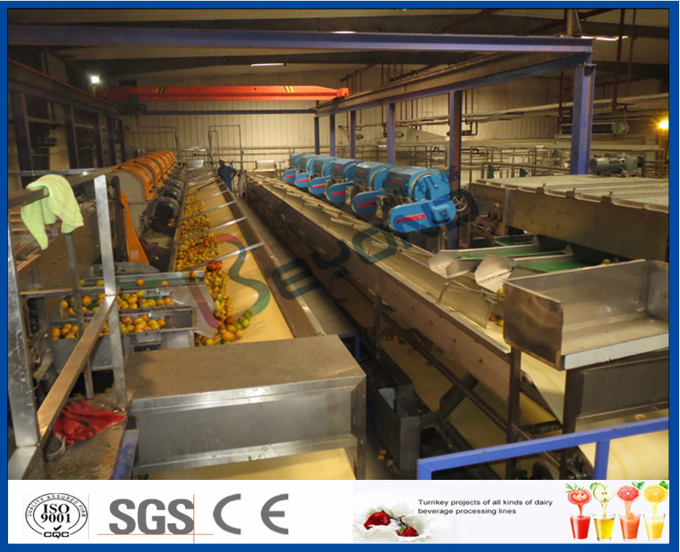Orange Juice Manufacturing Process Orange Processing Plant , Orange Juice Making Machine