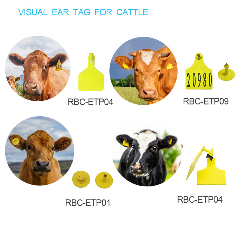 UHF Rfid Cattle Ear Tags 860-960mhz Frequency Longer Reading Distance