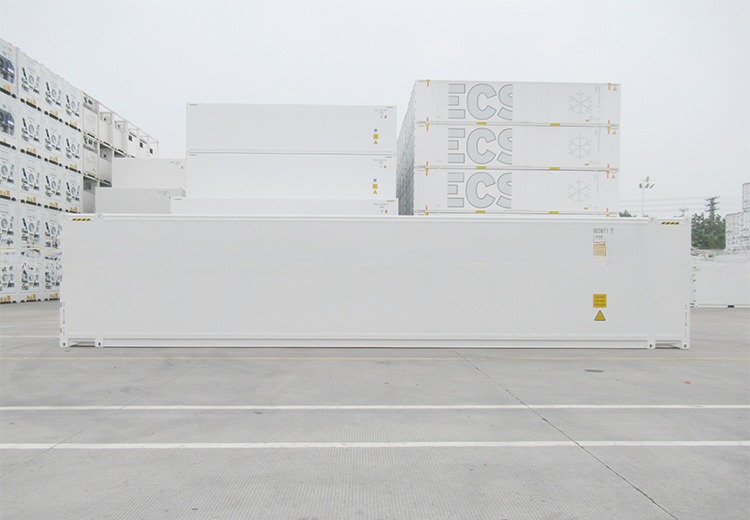 13114 x 2274 x 2554 mm Internal Dimensions 45ft High Cube Thermo King Refrigerator Freezer Cold Room with BV Certificate