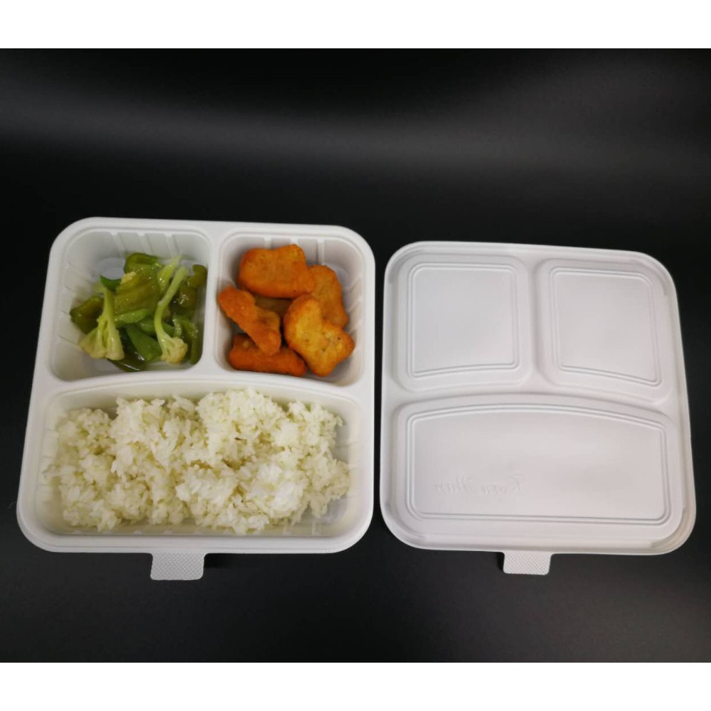 Compostable Custom Biodegradable Trays , 100% Disposable Sugarcane Pulp Paper Plates