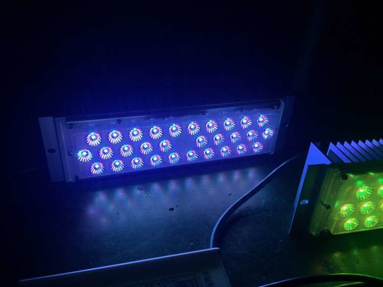 Led Light Module Luxeon 5050 Chip Multi-Angle Viewing High Efficiency:160lm / W
