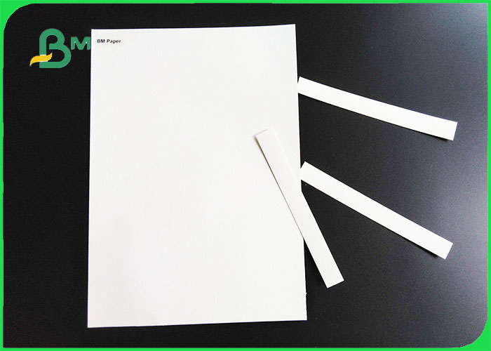 absorbent paper