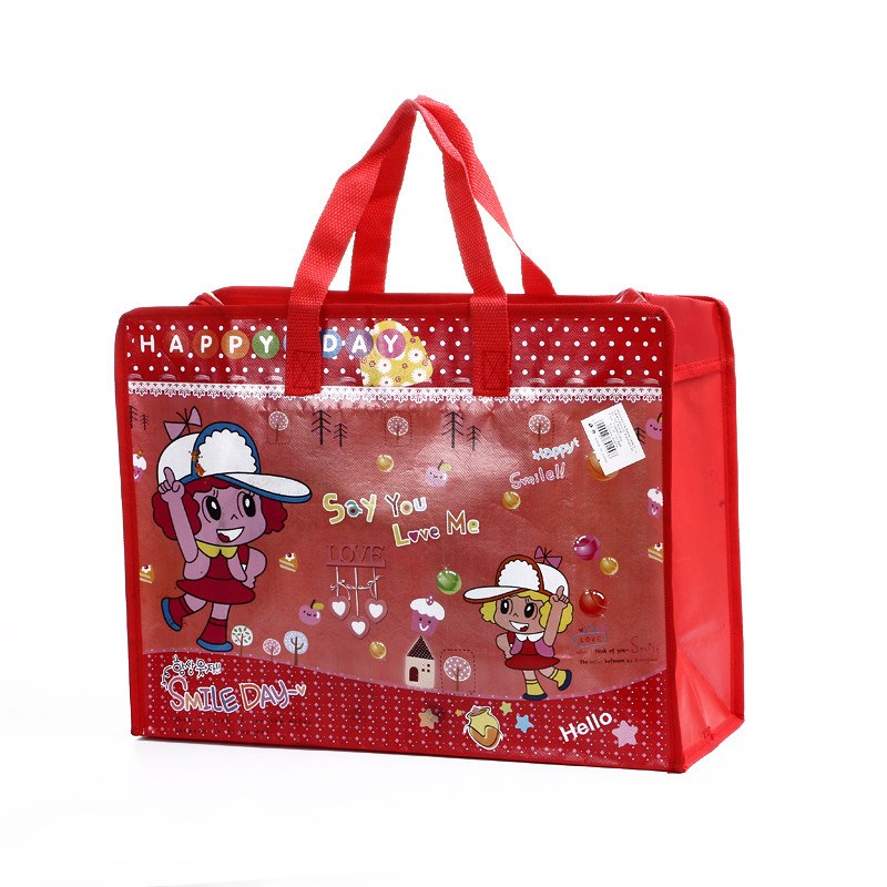 Printed Lamintion Small Bags Non Woven Shopping Bags With Zip Customized