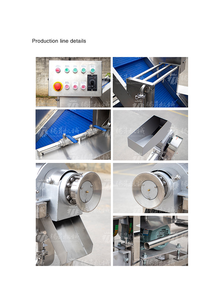 Commercial 2.6KW Fruit And Vegetable Processing Line Bubble Cleaning Juicing Machine
