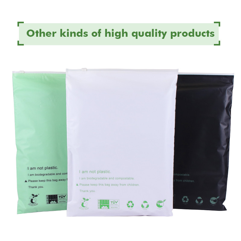Frosted Biodegradable Packaging Bag