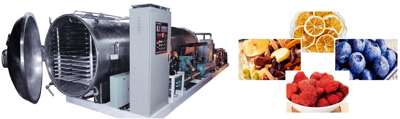 GMP Industrial Lyophilizer Pharmaceutical Toption Freeze Drying Pharmaceuticals