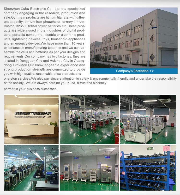 M6 Ternary Polymer Lithium Lithium Titanate Battery Low Temperature Resistance