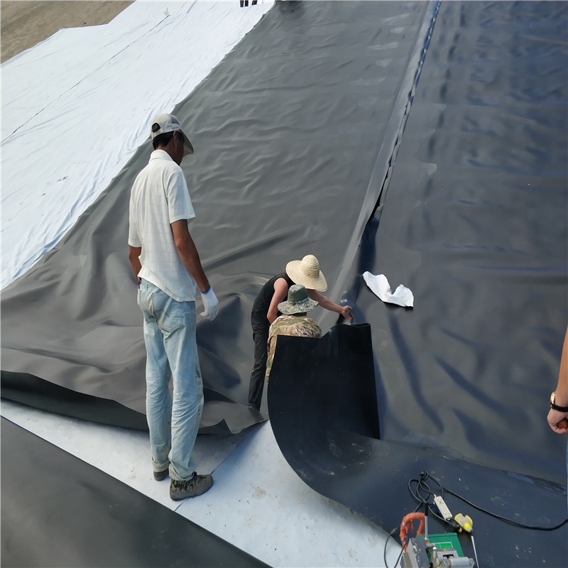 1mm Geomembrane Fish Shrimp Pond Liner HDPE Liner for Landfill Liner and Swimming Pool