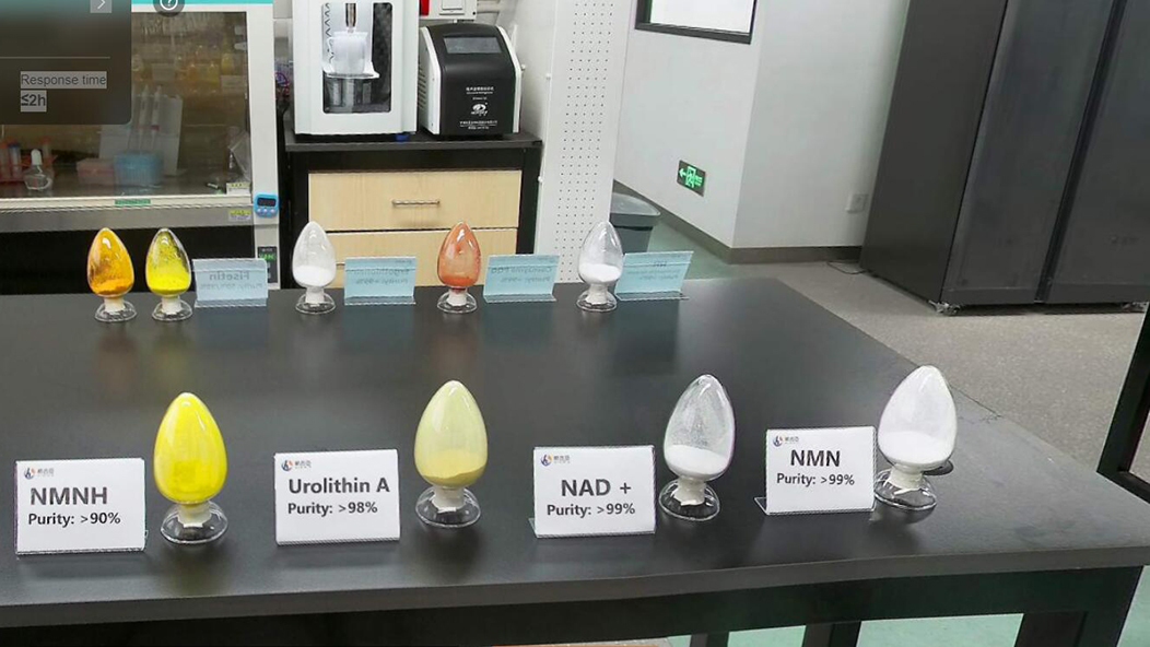 Nicotinamide Riboside Hydrogen Malate NRHM NAD+ booster Bulk Powder Wholesale