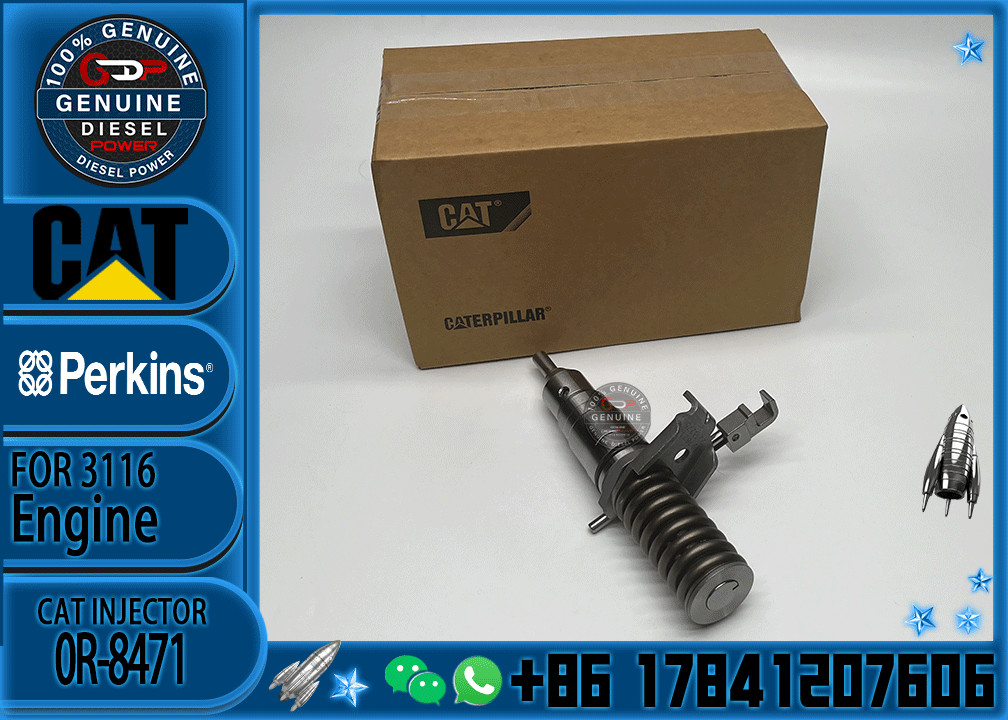 Excavator Parts CAT 3114 3116 3216 Engine fuel injector fuel injector 4P-2995 6I-3669 0R-8471 0R-8475 0R-8473