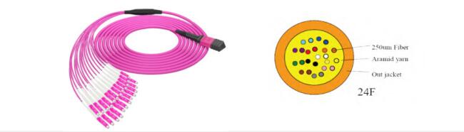 24 Fibers MPO to LC OM4 Fiber Optic MPO-LC 2.0mm Straight harness Cables