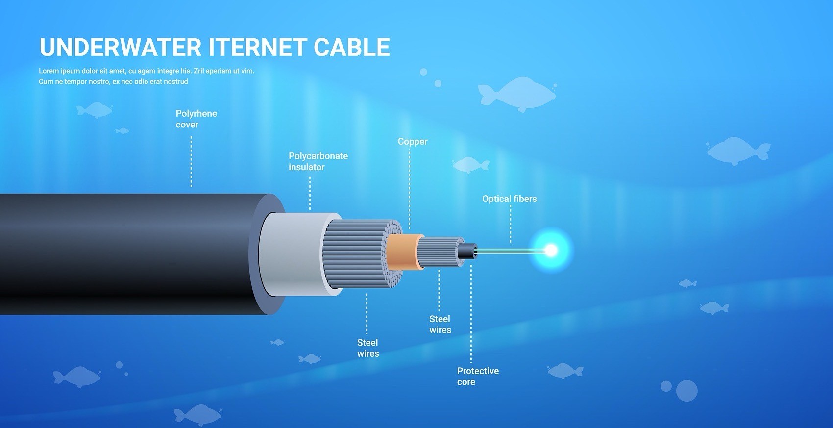 GYTA33 24 Core Underwater Optical Fiber Cable Armored Submarine Fiber Optical Cable