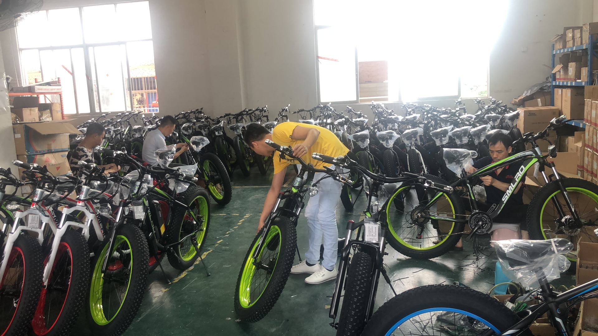 20AH24 Inch Wheel Folding Electric Bike With Z.STAR Brake RoHS Approved