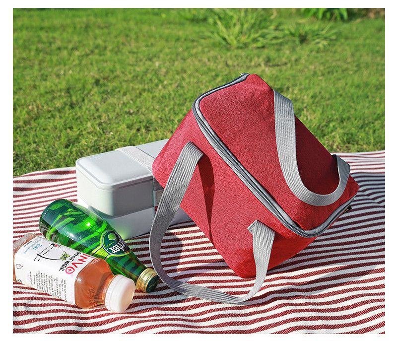 SGS Polyester L21.5cm Insulated Lunch Cooler Bags