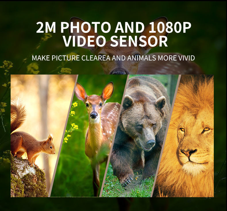 4G FOV 90 Degree Animal Hunting Game Camera IP65 24MP With 0.4S Fast Triggering Time