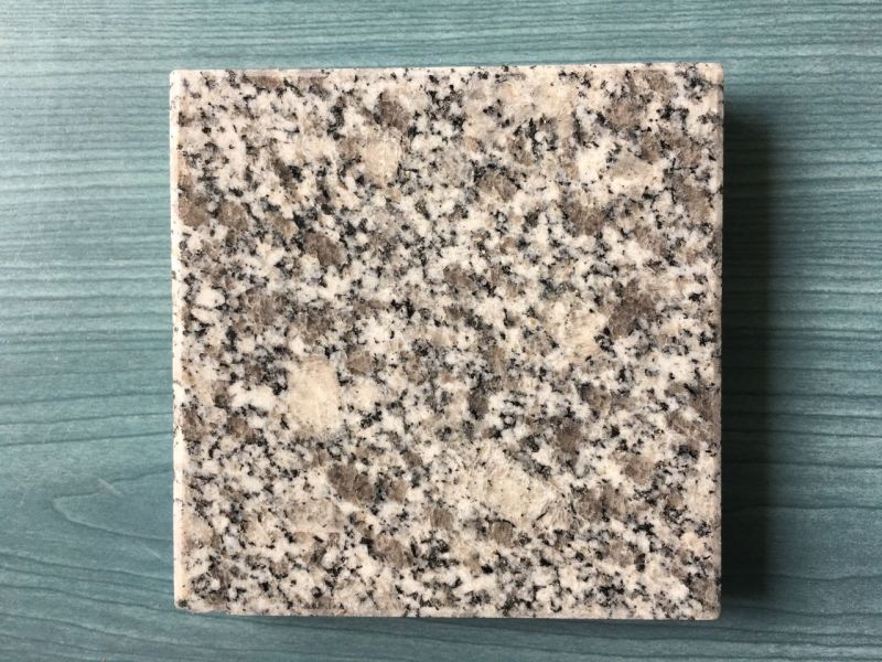 G623/ Rosa Beta Very Competitve Price Quarry Owner Grey Color Granite