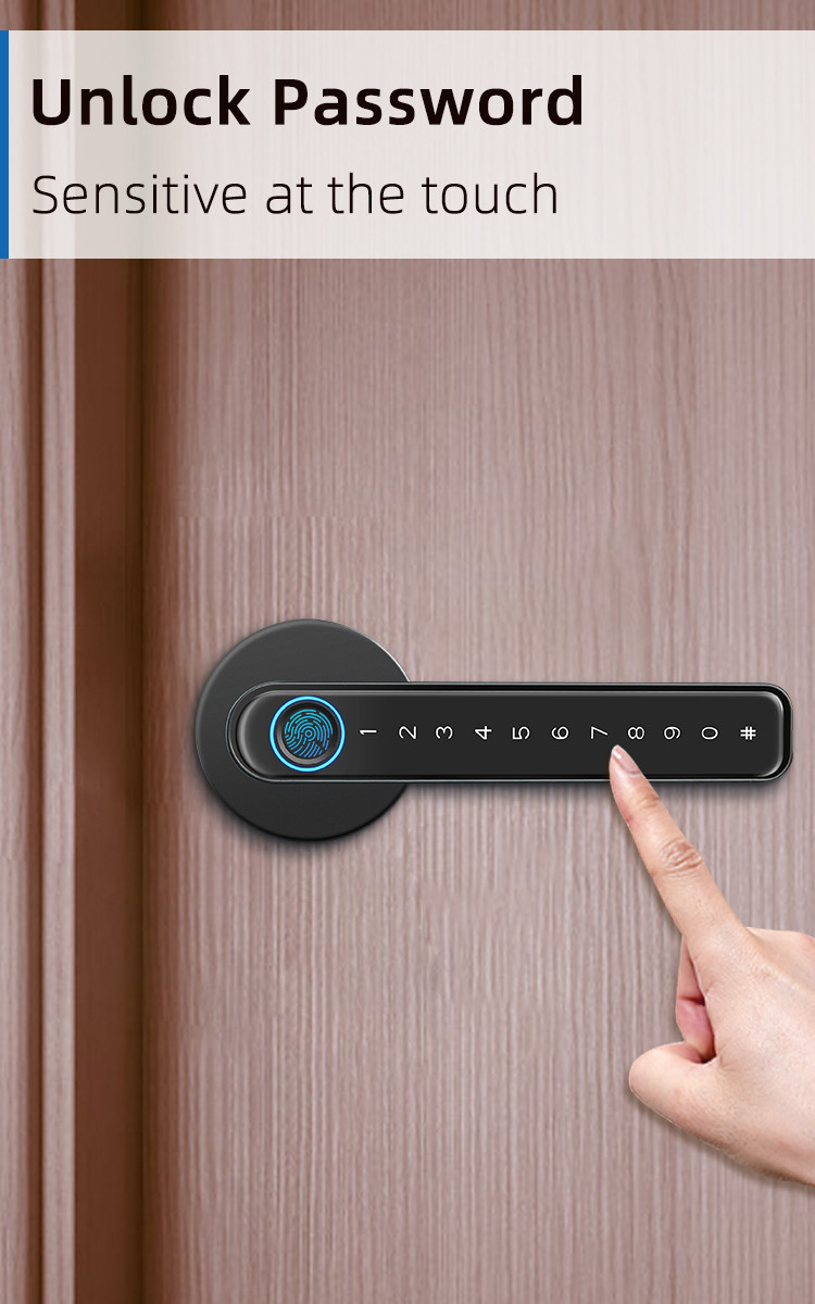 TUYA Bluetooth Smart Handle Door Lock Anti Corrosion Fingerprint Handle Lock