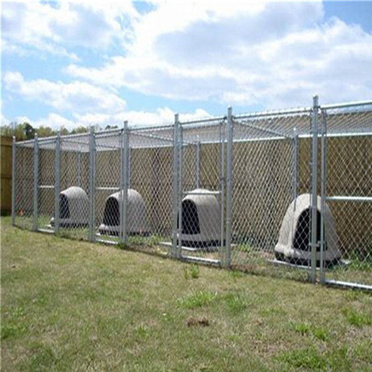 100ft Galvanized Black PVC Coated Chain Link Wire Mesh Fence For Sport Court