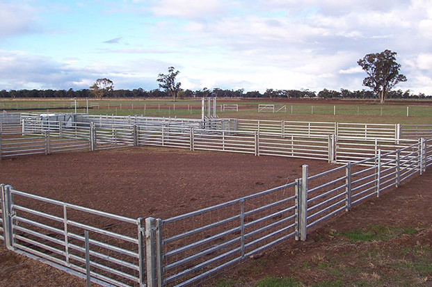 Galvanized Pipes Easily Assembled Sheep Fence Panels