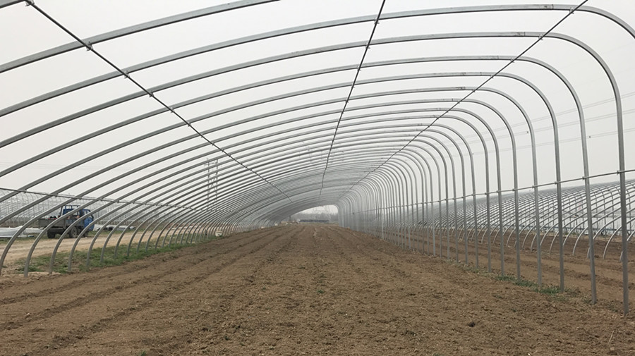 Pressure-Resistant Glass House for Large-Scale Growth of Vegetable Fruits and Flowers