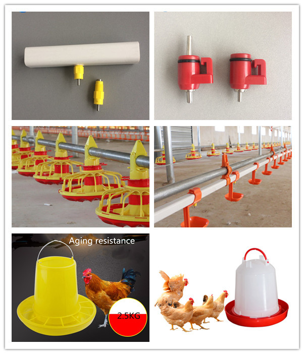 1.5L Poultry Bucket Drinker For Baby Chicken Broiler Layer Breeder