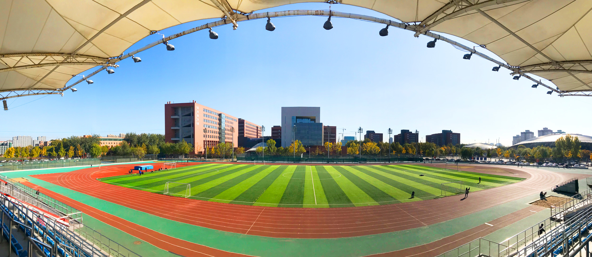 SGS Certificated Shock-absorbing TPE Sports Infill For Artificial Lawns Football Pitches