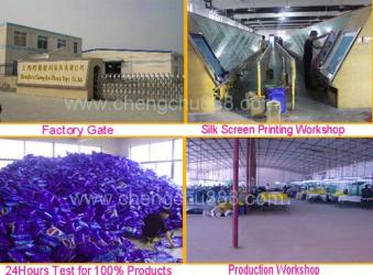 Shanghai Chengchu Plastic Toys Co.,Ltd